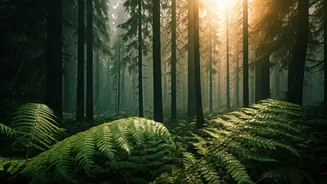 Rain-Washed Forests Are Built For Travel Reels