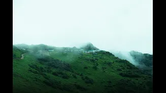 Exploring India’s Monsoon: Travel Trends and Tips