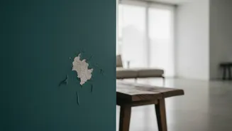 Rainy-Season Dampness: What To Check Around Your Home