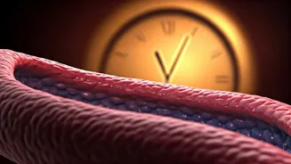 Related Stories banner