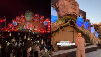 'Pre-wedding Like Tomorrowland': Video Shows Huge Setups & Grand Celebrations At Udaipur During Indian Wedding
