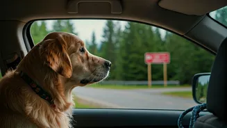 Food Stops Are Part Of Pet Travel Strategy