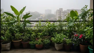 Why Urban Renters and Home Gardeners Are Paying Closer Attention to Monsoon Balcony Micro-Gardens