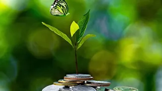 August's SGB Early-Exit Windows: Checking Checking the RBI Redemption Calendar Before the Next Step