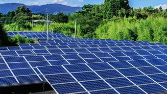 India's Latest Agrivoltaics Drive Sharpens the Question of Farm Income