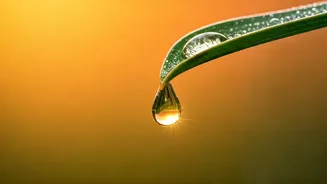 Beyond the Dupatta: Expert Sunscreen Strategies for Indian Summers