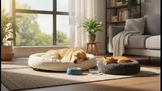 The Holiday Works Better When Pets Keep Familiar Meal And Sleep Times