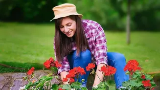 Fresh Interest in Seasonal Home Gardening Keeps the Focus on Kharif Timing and Rabi Timing