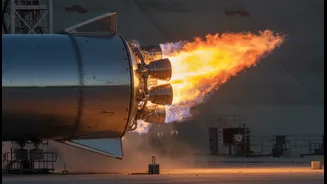 Automatic Safety System Stops Starship Launch During Booster Ignition Sequence
