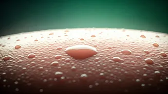 Humidity Is Testing Your Skin Every Day
