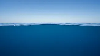 The New Ocean Iron Study: A Clearer View Of Ocean Fertilisation Limits