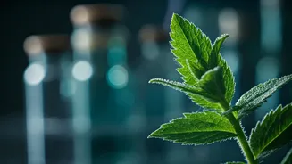 World Homoeopathy Day 2026: Inauguration and Sustainable Health Dialogue