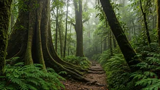 These Hidden Rain Destinations Look Unreal
