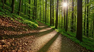 Walking for Health: Beyond the 10,000 Steps