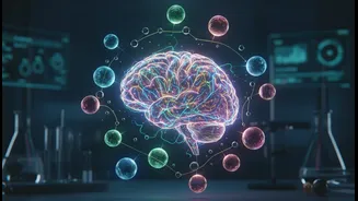 Why neuroscientists prioritize cerebellar studies to dismantle outdated movement disorder myths