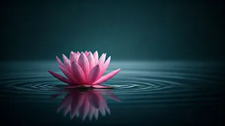 Bhagavad Gita: Find Inner Peace Amidst Life's Repetitive Cycles