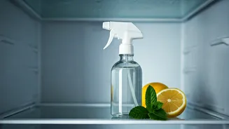 Sparkling & Fresh Fridge: 5-Minute DIY Spray for a Spotless, Odor-Free Refrigerator!