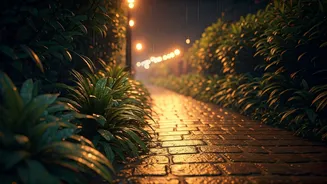 These Night Walks Are Pure Monsoon Magic