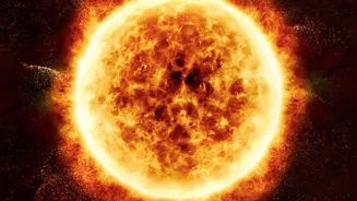 What The Newly Seen Solar Plasma Wave Shows About Outer-Atmosphere Heating