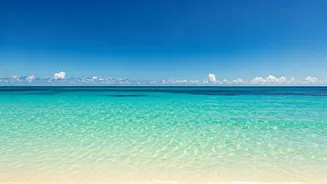 Unforgettable St. Martin: A Traveler's Handbook