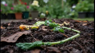 Rainy Weather Changes the Ratio, Not the Basic Compost Rules