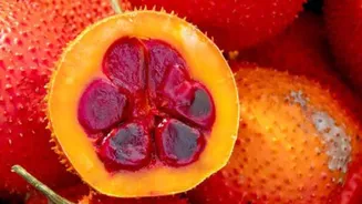 Gac fruit: The next big thing in superfoods