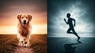 Optical Illusion Reveals Your Inner Self: Dog vs. Man Running Forward