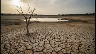 How Goa Travellers, Residents and Tourism Businesses Can Respond to Goa's Weak Monsoon Spell