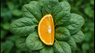 Plant-Based Iron Absorption Explained Through The Vitamin C Effect
