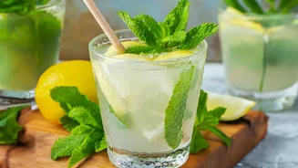 How To Prepare Mint Jeera Coolers At Home For Rapid Natural Daily Energy