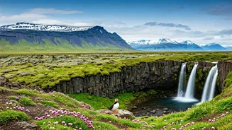 Iceland in Spring: A Symphony of Wildlife, Landscapes, and Adventure
