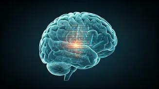 Digital Memory: How Tech Reshapes Recall & Forgetting