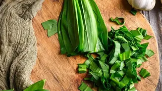 Check Different Cuts Before Planning Meals Around One Seasonal Vegetable