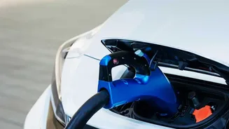 Why Cheaper Raw Materials In Sodium Batteries Offer Price Advantages For Indian EVs