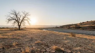 India records third driest June in a century as monsoon deficit reaches 42%