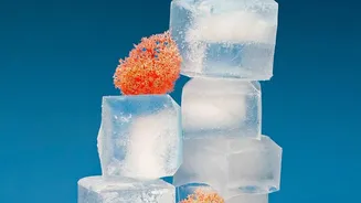 Freezer Burn and Spoilage Are Different Food-Storage Problems