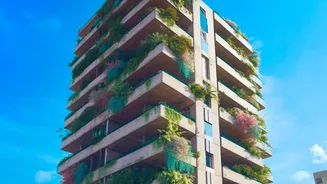 Rainy-Season Foliage Can Outgrow the Balcony's Safe Limits