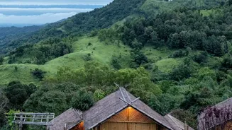 Coffee Estate Stays Bring Fresh Air And Affordable Comfort