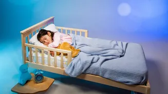 How Circadian Timing Adjustments To Dinner Improve Fat Oxidation And Sleeping Patterns