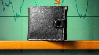Risk and return: A key investing link