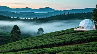 These Misty Munnar Glamping Domes Look Purely Magical