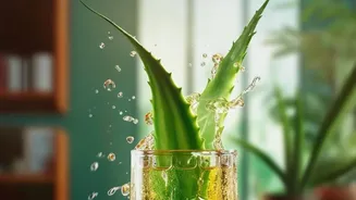 Coconut Water And Buttermilk Compared As Everyday Hydration Drinks: The Latest Development Without Exaggeration