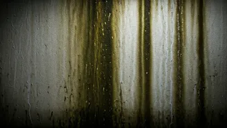 Damp Rooms Can Kill Your Home Mood