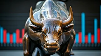 Stock Market Rises Sharply: What's Driving It?