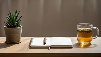 Related Stories banner