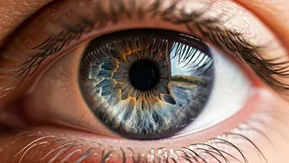 Micro-Rests Can Boost Your Memory Now