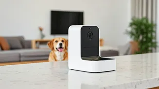 Monitor Your Furry Friends Remotely With Smart Camera Pet Feeders