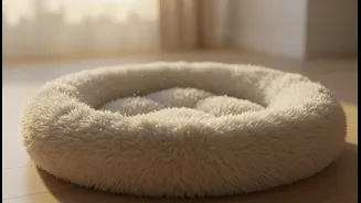 Pet Bedding Needs More Frequent Airing During Humid Weather