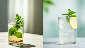 Shikanji vs. Nimbu Pani: Your Ultimate Guide to Summer Hydration