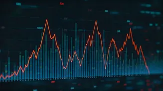 Market Selloff: What Investors Should Know